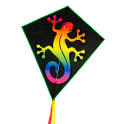 Colours In Motion Rainbow Eddy Gecko Kite
