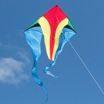 CIM F Tail Delta Kite XM