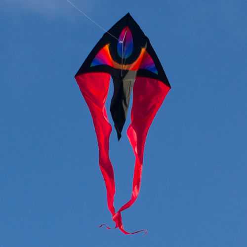 Colours In Motion F Tail Delta Kite XM | Kiteworld UK