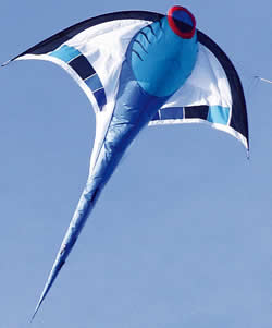 HQ Manta Ray