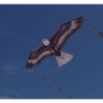 X-Kites Bird Of Prey Eagle - view 1