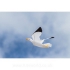 HQ Joel Scholz 3D Seagull Kite - view 1