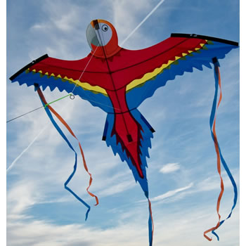 Spiderkites Parrot Alexa